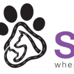 5 Signs Your Dog Needs Grooming Immediately (Dubai Pet Owners Guide)