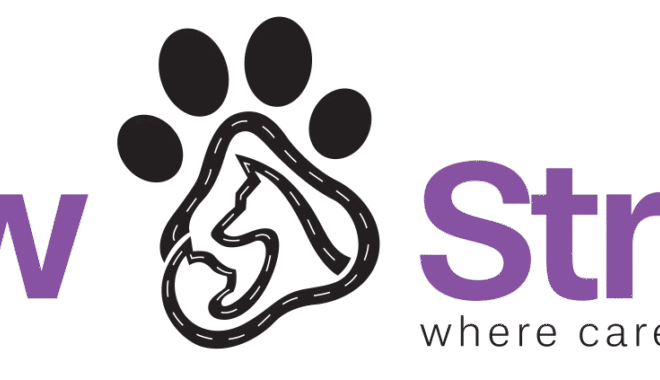 5 Signs Your Dog Needs Grooming Immediately (Dubai Pet Owners Guide)