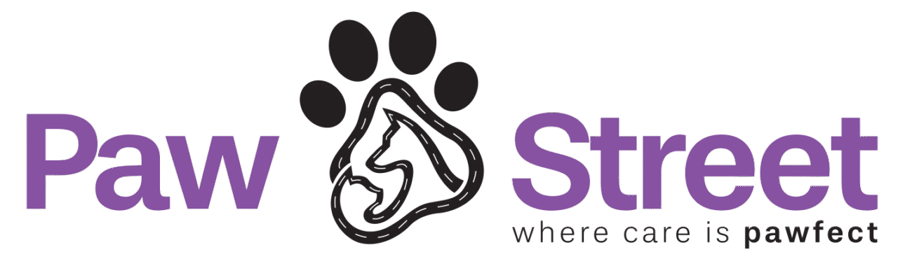 5 Signs Your Dog Needs Grooming Immediately (Dubai Pet Owners Guide)