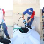 Which Termite Control Services in Lahore Offer Reliable and Long-Lasting Protection?