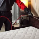 How Can You Effectively Get Rid of Bed Bugs in Lahore Using Professional Spray Services?