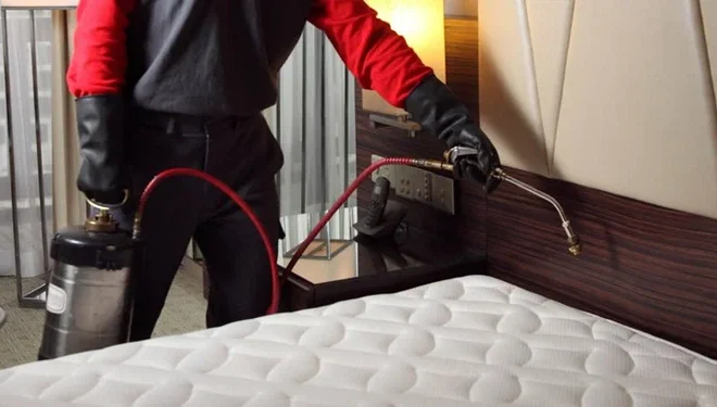 How Can You Effectively Get Rid of Bed Bugs in Lahore Using Professional Spray Services?
