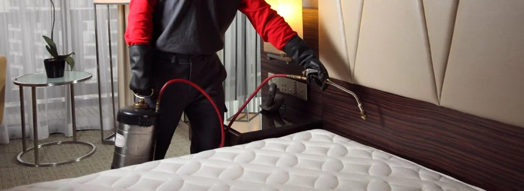 How Can You Effectively Get Rid of Bed Bugs in Lahore Using Professional Spray Services?