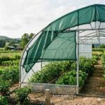 Shade Netting to Keep Your Greenhouse Cool and Safe
